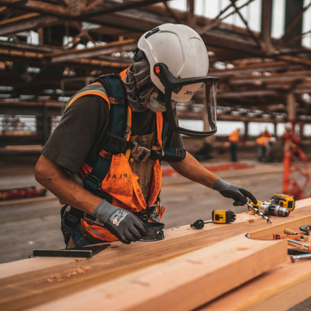 Führung Ihres Unternehmens oder Ihrer Supply Chain