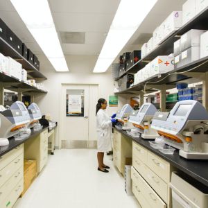 Composite-Anwendungen, der Textilpflege sowie in Speziallösungen für technische Textilien